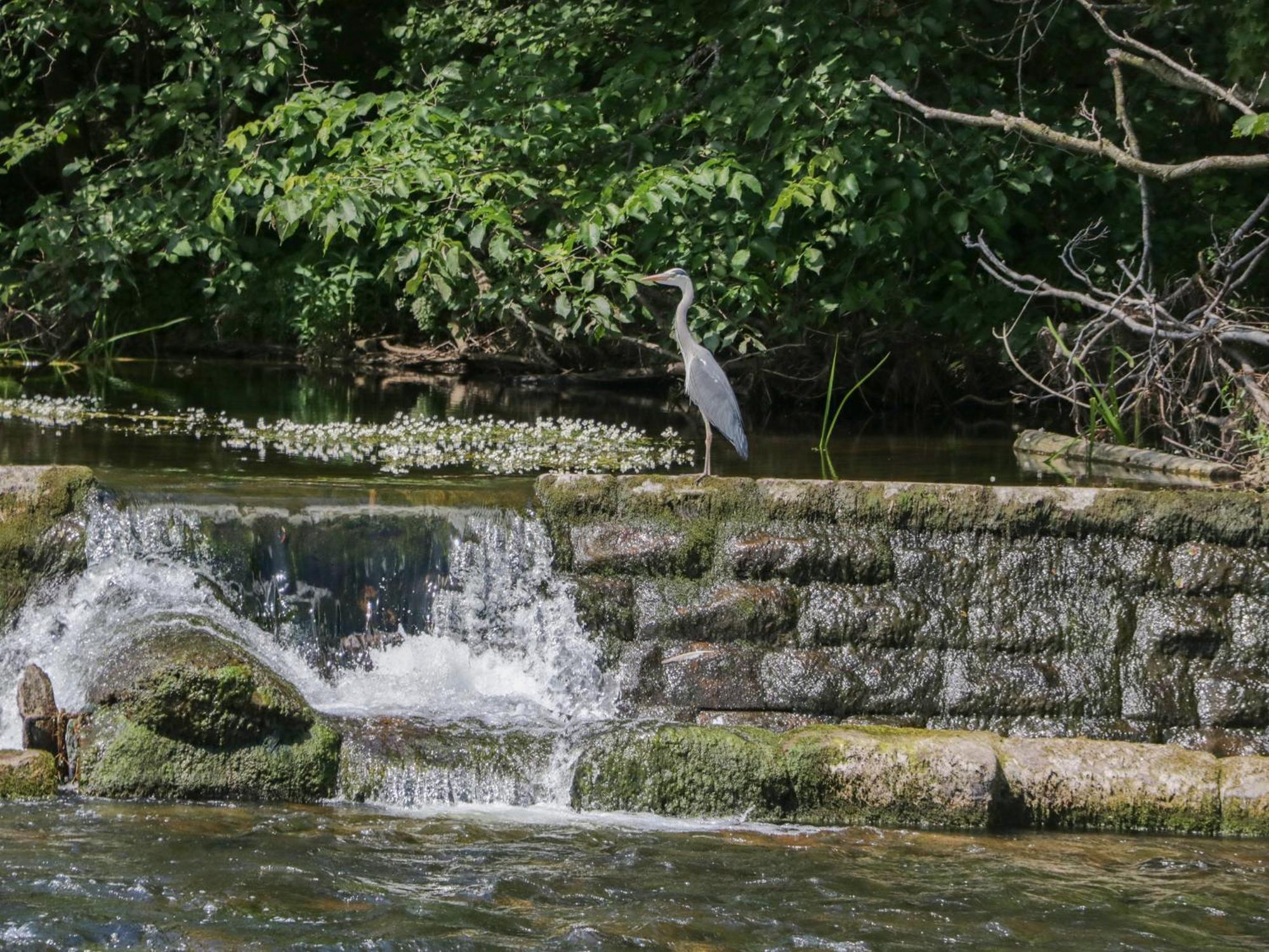 Willa 21 Eamont Park Penrith Zewnętrze zdjęcie